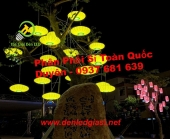 Trang trí đèn lồng nhựa ngôi sao ngoài trời