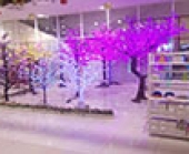 Hình ảnh Quảng Thăng Chiếu Sáng triển lãm Aeon Bình Dương 2016